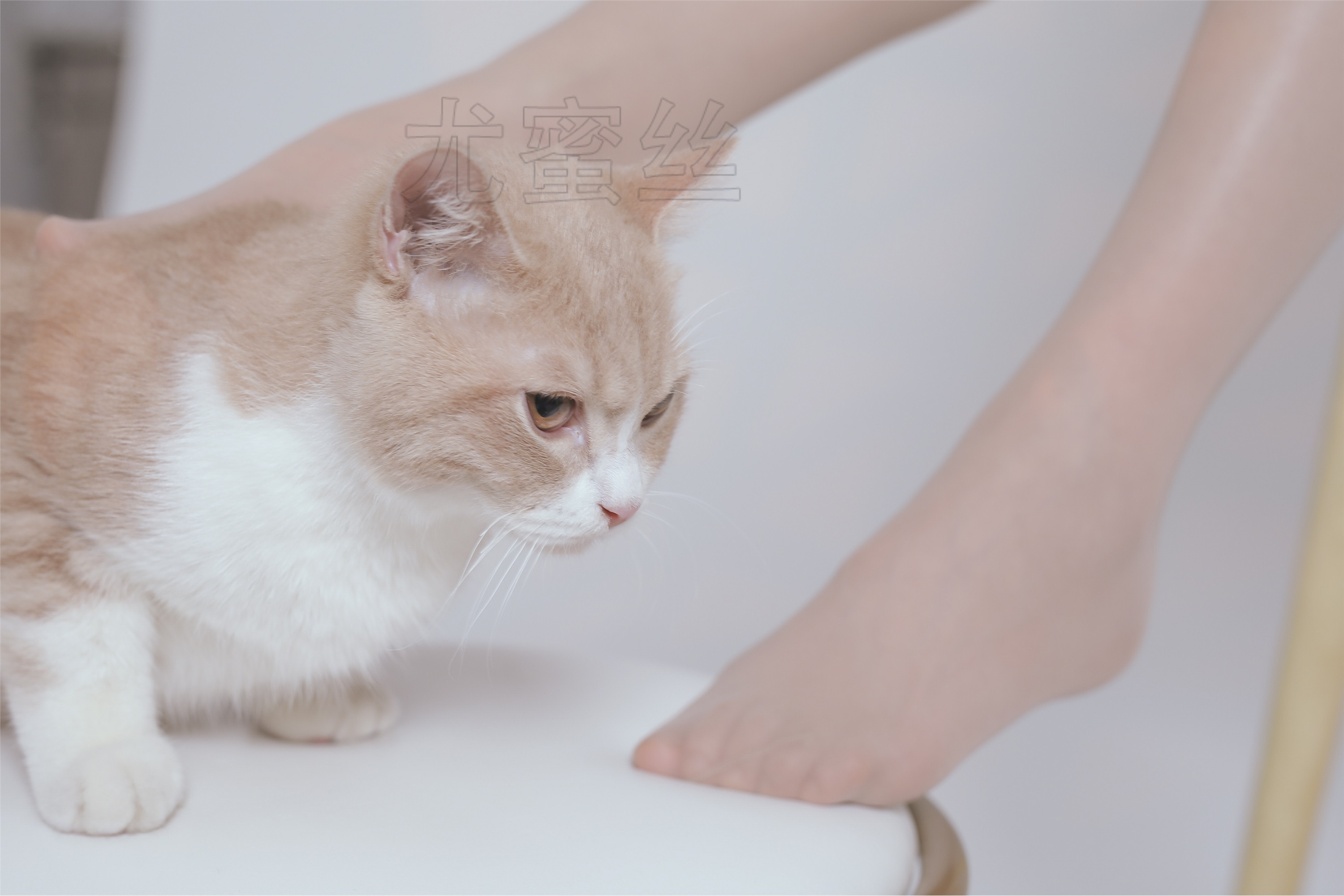 尤蜜丝 穿搭写真 NO.011